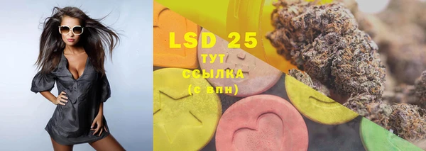 PSILOCYBIN Алзамай