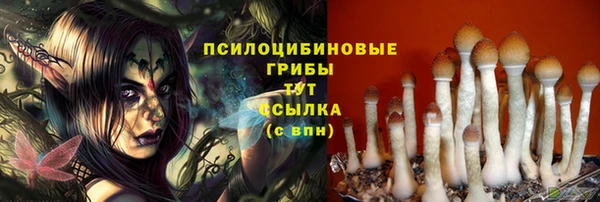 PSILOCYBIN Алзамай