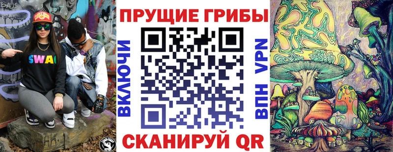 blacksprut зеркало  Геленджик  Псилоцибиновые грибы Psilocybine cubensis  где можно купить наркотик 